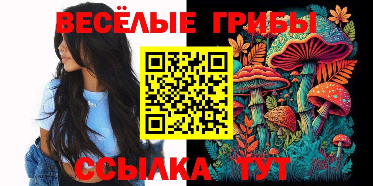 Галлюциногенные грибы Psilocybine cubensis  Вход с VPN  Орёл 